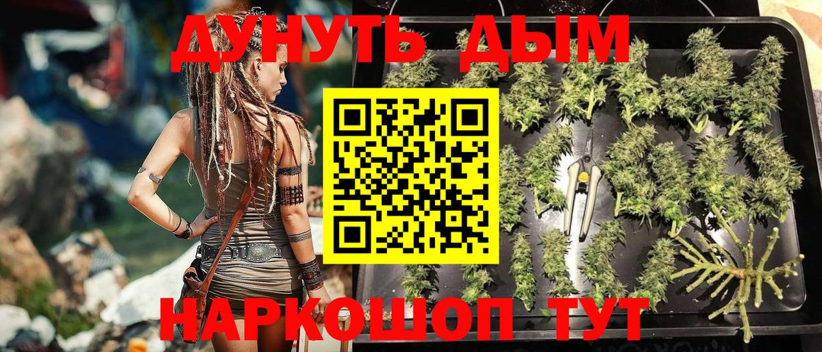 Марихуана Amnesia Лыткарино